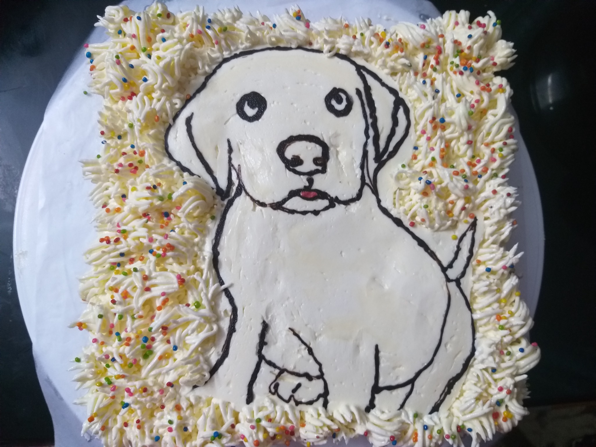 Birthday Cake for Scooby