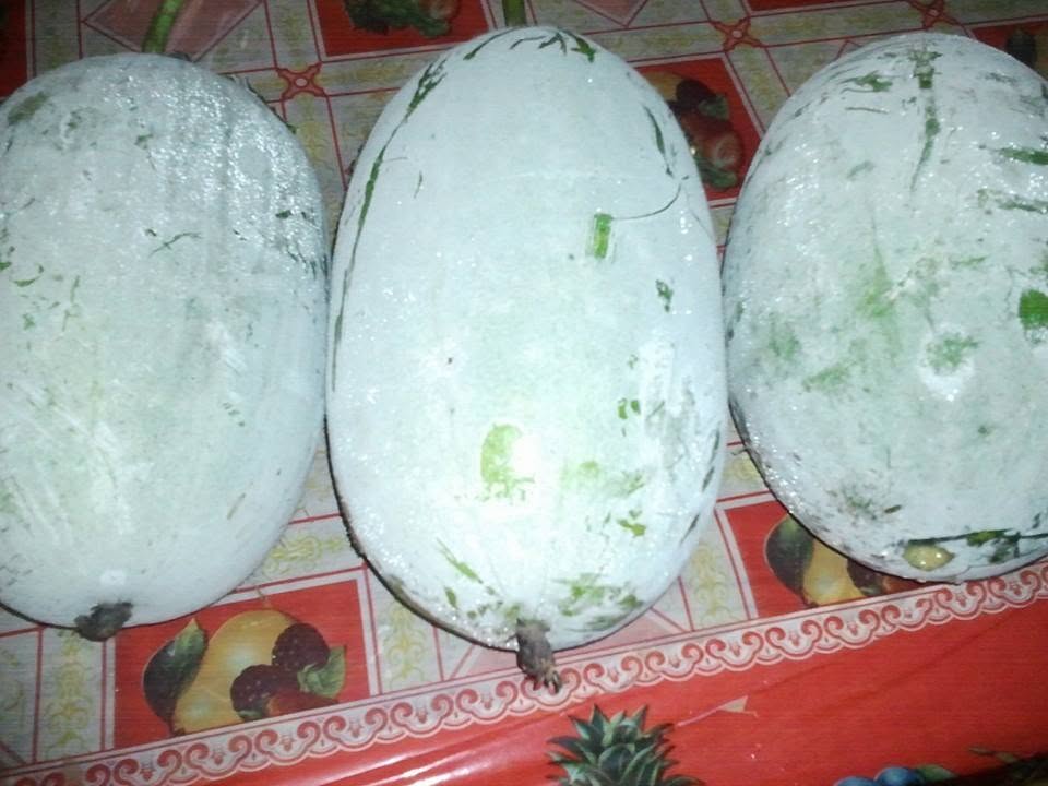 Home-grown gourds — harvest