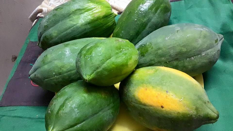 Papaya harvest
