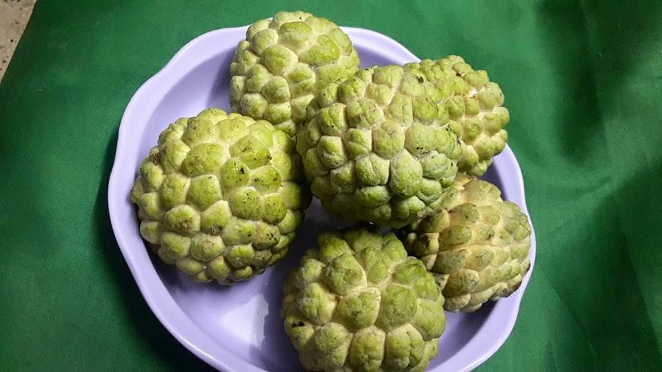 Custard apples from the garden